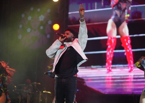 Record turnout for Cherry Blossom Festival 2025 in Shillong