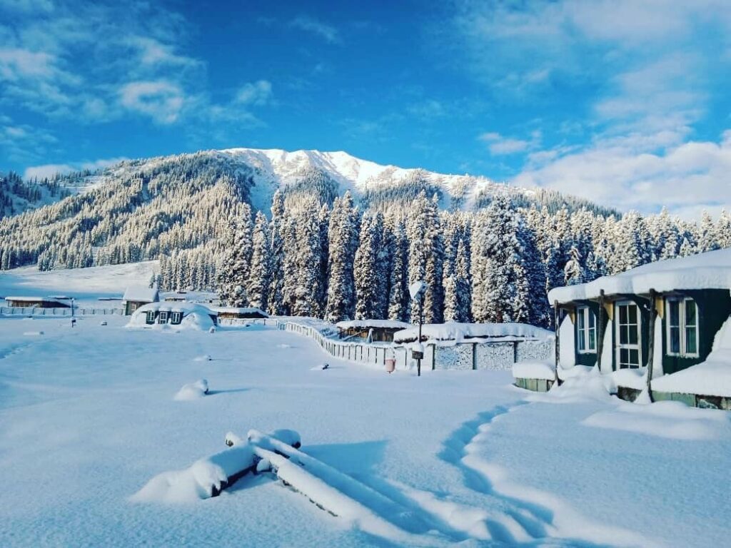 Doodhpathri, the "Valley of Milk," where serene white landscapes stretch across the Pir Panjal range (Photo by : JK Tourism)