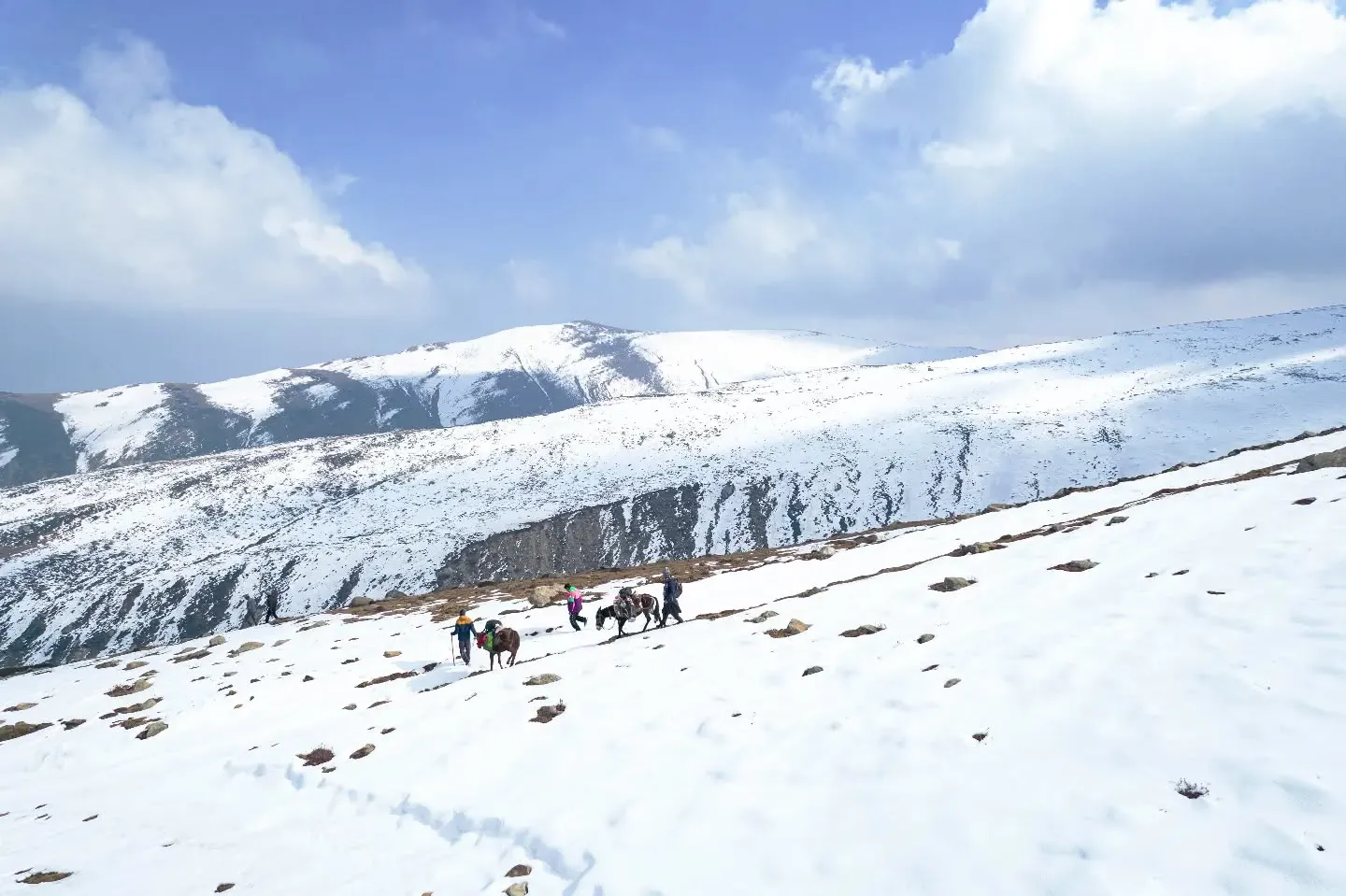 Tosamaidan meadow serves as a departure point for a four-hour trail to the famed glacial lakes of Gadsar, Budsar, Damamsar, and Kalasar (Photo by : JK Tourism)