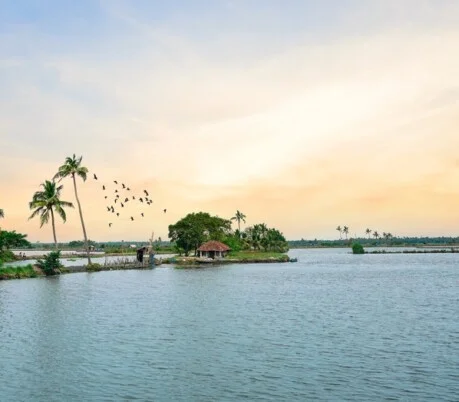 Kerala to grant industry status to tourism sector by October