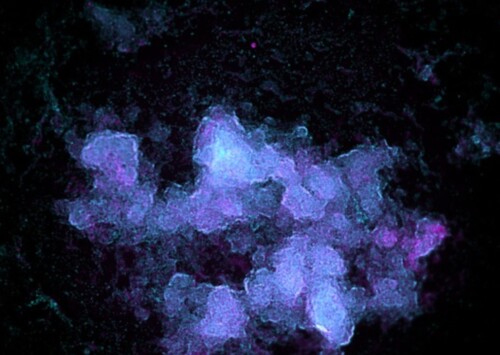 Biofilms key to long-duration spaceflight: Glasgow University