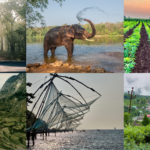 Indian travellers discover slow travel, a step at a time