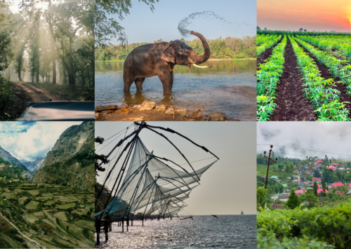 Indian travellers discover slow travel, a step at a time