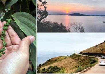 Chikkamagaluru : Of Cliffs, Coffee & Conservation