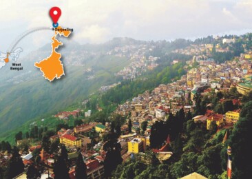 Darjeeling Tea, Trails & artsy Tales