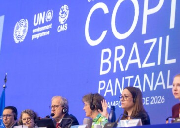 UN wildlife summit COP15 expands protection for migratory species