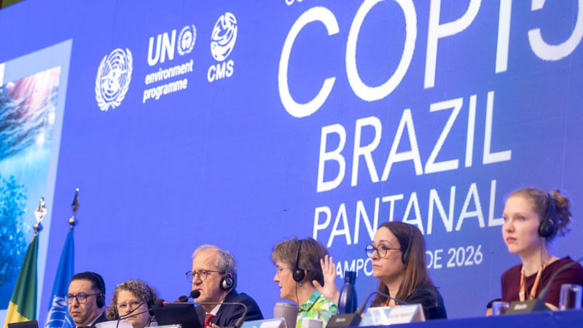 UN wildlife summit COP15 expands protection for migratory species