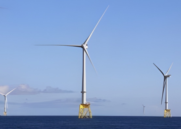 350.org slams Trump for USD 1bn payout to TotalEnergies for US offshore wind exit