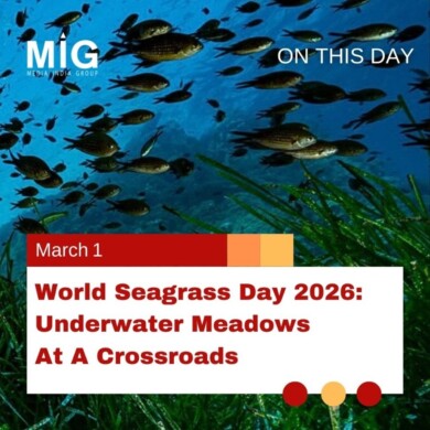 World Seagrass Day 2026: Underwater Meadows at a Crossroads
