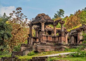 Polo Forest: Where Gujarat’s wilderness meets forgotten heritage