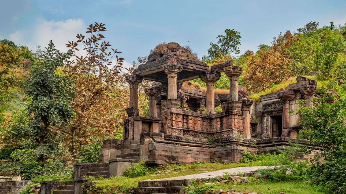 Polo Forest: Where Gujarat’s wilderness meets forgotten heritage