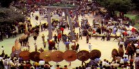 Bagwal Festival: A ritual of devotion, risk and controlled combat