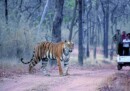 India ranks 172 of 180 nations in Nature Conservation Index 2025