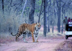 India ranks 172 of 180 nations in Nature Conservation Index 2025