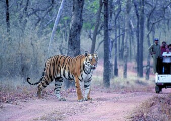India ranks 172 of 180 nations in Nature Conservation Index 2025