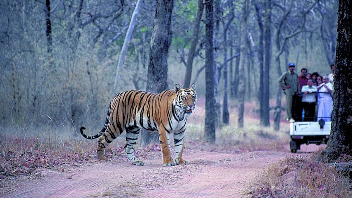 India ranks 172 of 180 nations in Nature Conservation Index 2025