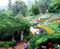 Ooty Flower Festival brings heritage-themed floral displays