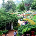 Ooty Flower Festival brings heritage-themed floral displays