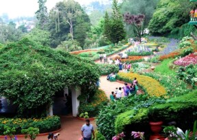 Ooty Flower Festival brings heritage-themed floral displays