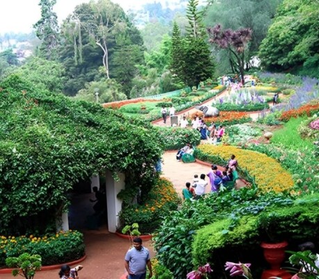 Ooty Flower Festival brings heritage-themed floral displays