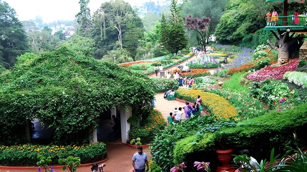 Ooty Flower Festival brings heritage-themed floral displays