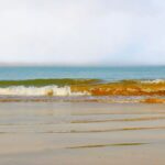 Dumas, the haunted beach of Gujarat