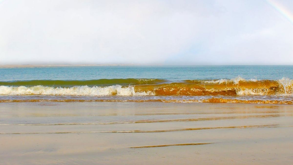 Dumas, the haunted beach of Gujarat