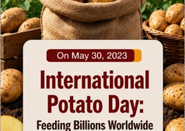 International Potato Day: Feeding Billions Worldwide