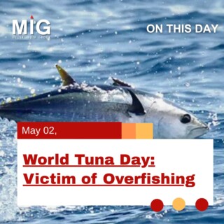 World Tuna Day: Victim of Overfishing