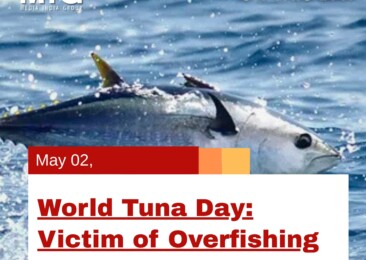 World Tuna Day: Victim of Overfishing