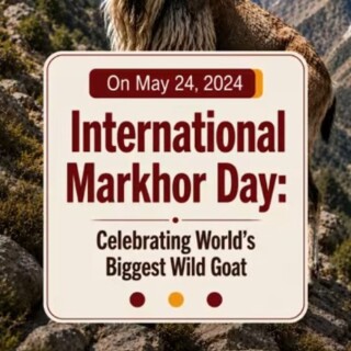 International Markhor Day: Celebrating World’s Biggest Wild Goat
