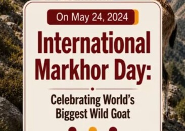 International Markhor Day: Celebrating World’s Biggest Wild Goat