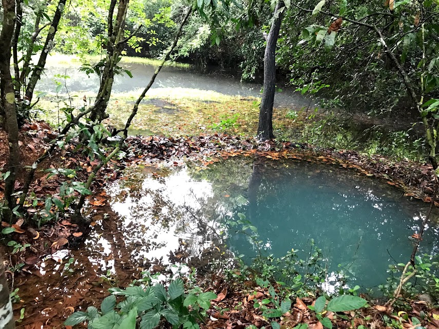 Ephemeralpool