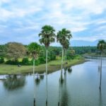Kerala government reiterates commitment to strengthen tourism sector