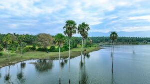 Kerala government reiterates commitment to strengthen tourism sector