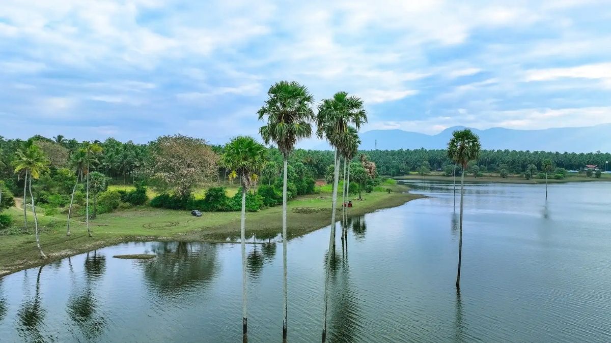 Kerala government reiterates commitment to strengthen tourism sector