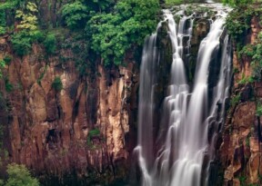 MP Tourism to promote Kalakund as eco-tourism hub 
