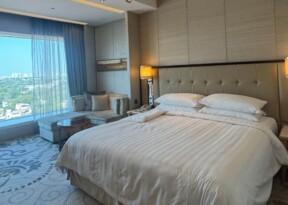 Hotels emerging as mainstream investment asset class in India: Noesis