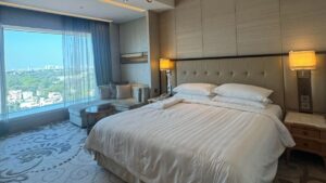 Hotels emerging as mainstream investment asset class in India: Noesis