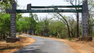 Chhattisgarh to launch Hornbill Safari in Udanti-Sitanadi Tiger Reserve