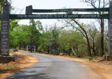 Chhattisgarh to launch Hornbill Safari in Udanti-Sitanadi Tiger Reserve