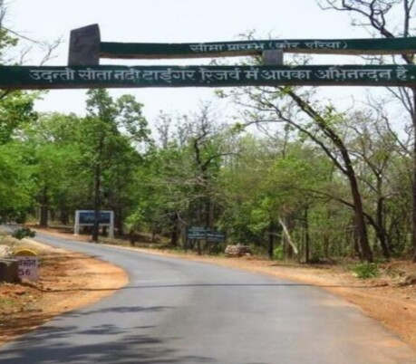 Chhattisgarh to launch Hornbill Safari in Udanti-Sitanadi Tiger Reserve