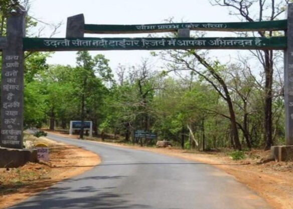 Chhattisgarh to launch Hornbill Safari in Udanti-Sitanadi Tiger Reserve