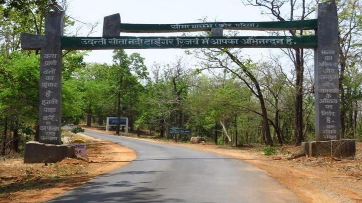 Chhattisgarh to launch Hornbill Safari in Udanti-Sitanadi Tiger Reserve