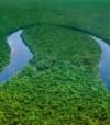 Greenpeace urges FIFA World Cup fans to support Congo Basin conservation