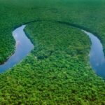 Greenpeace urges FIFA World Cup fans to support Congo Basin conservation