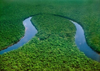 Greenpeace urges FIFA World Cup fans to support Congo Basin conservation