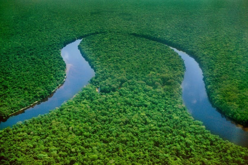 Greenpeace urges FIFA World Cup fans to support Congo Basin conservation