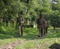 UN experts call for release of Adivasi rights defenders in Assam