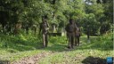 UN experts call for release of Adivasi rights defenders in Assam